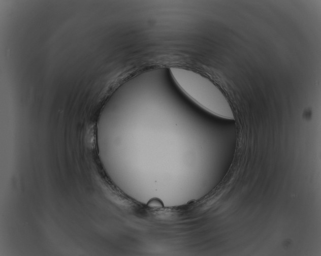 X0000091690383200708231136
