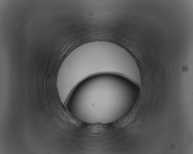 X0000091690384200708231136