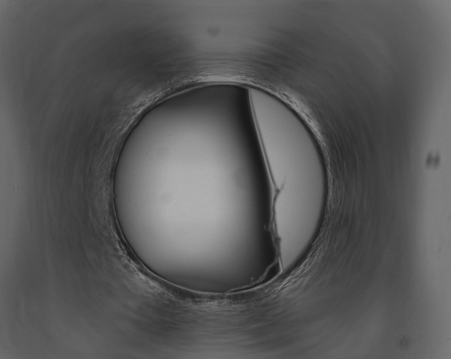 X0000091690385200708231135