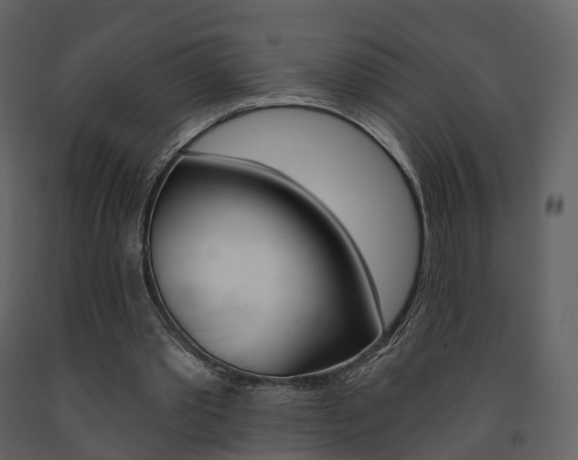 X0000091690389200708231135