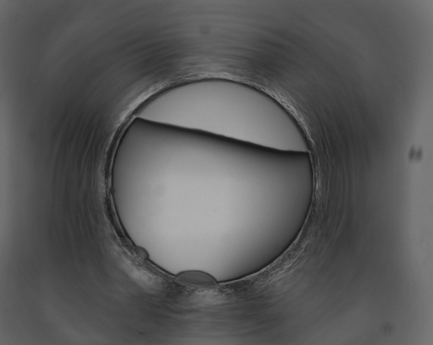 X0000091690390200708231135