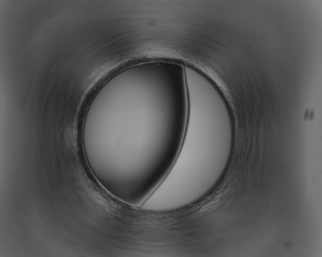 X0000091690391200708231135