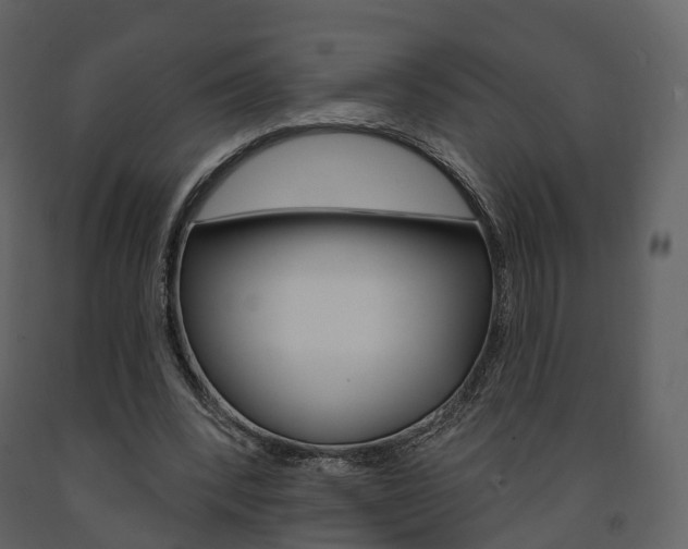X0000091690392200708231135