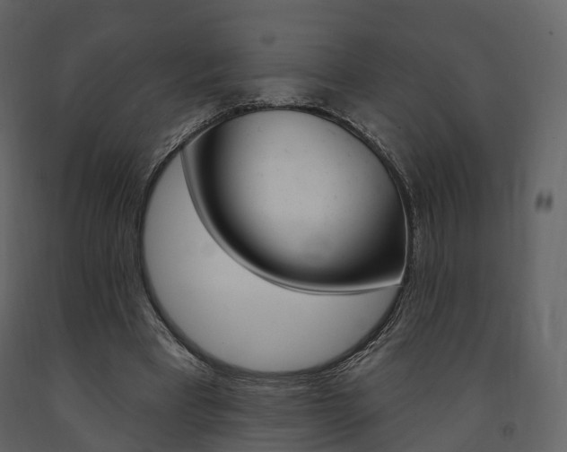 X0000091690393200708231135