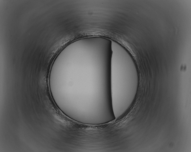 X0000091690394200708231135