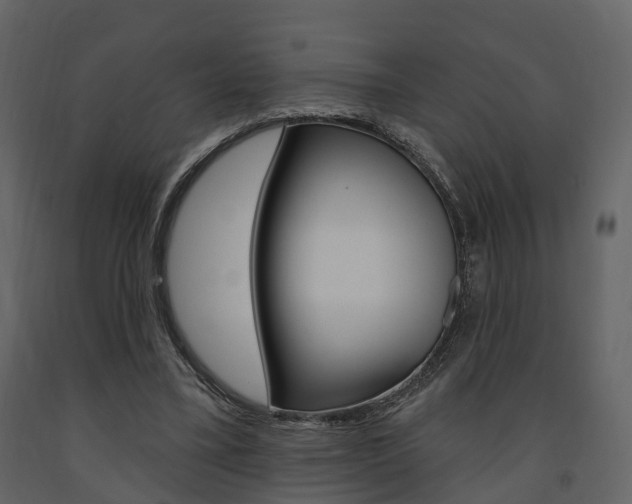 X0000091690395200708231135