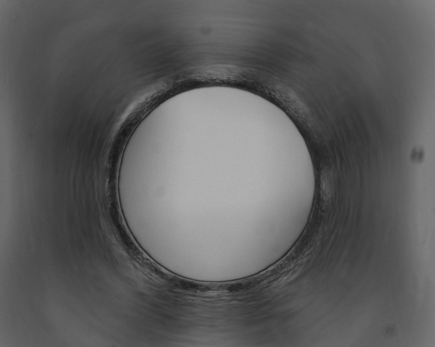 X0000091690396200708231135