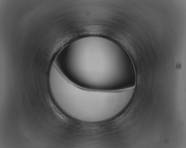 X0000091690397200708231135