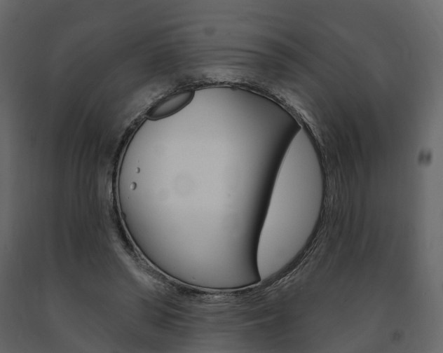 X0000091690398200708231135
