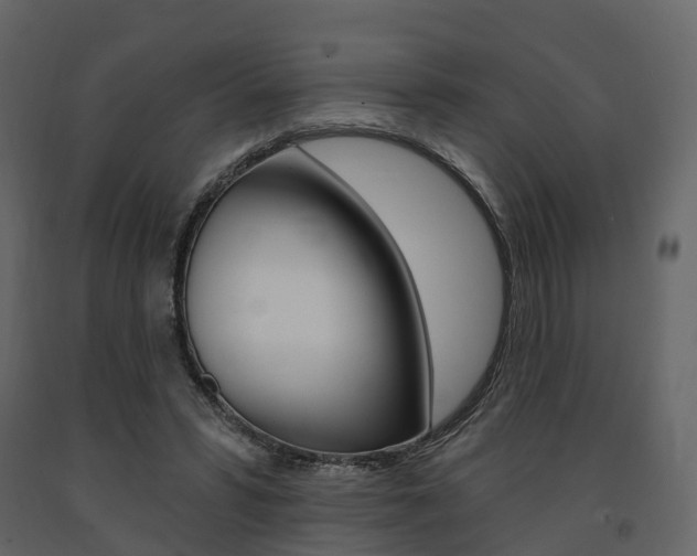 X0000091690399200708231135