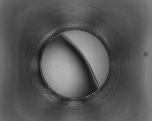 X0000091690400200708231135