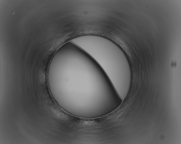 X0000091690401200708231135