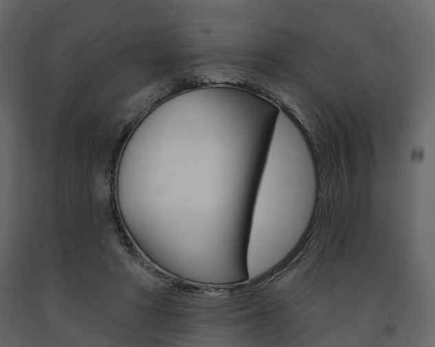 X0000091690402200708231135