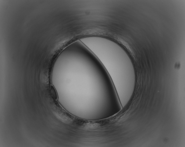 X0000091690403200708231135
