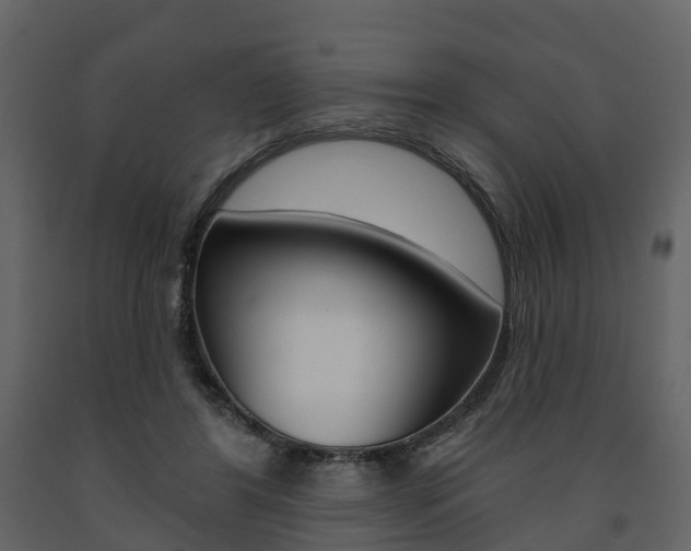 X0000091690404200708231135
