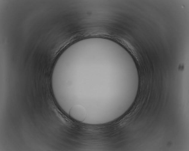 X0000091690405200708231135