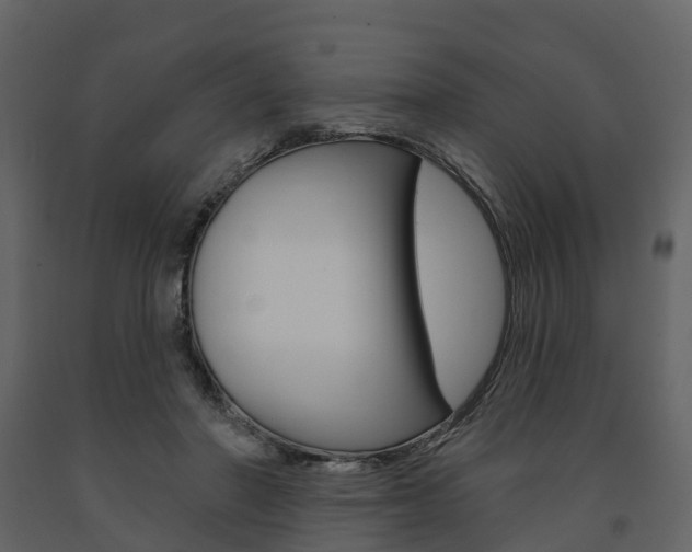 X0000091690406200708231135