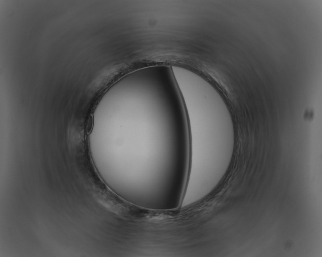 X0000091690407200708231135
