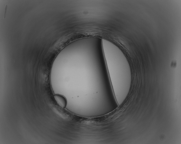 X0000091690408200708231135