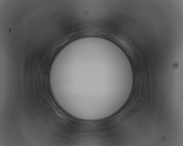 X0000091690409200708231135