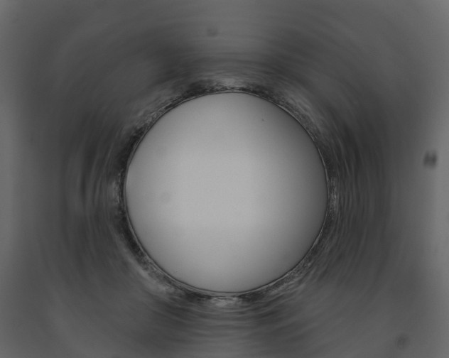 X0000091690410200708231135