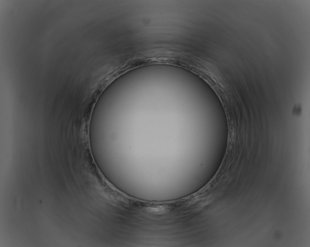 X0000091690411200708231135