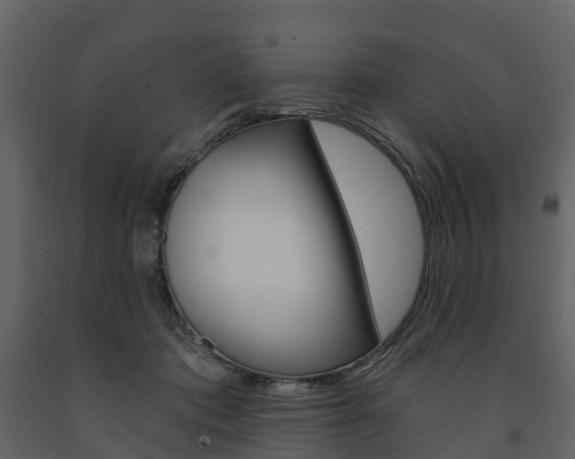 X0000091690413200708231135
