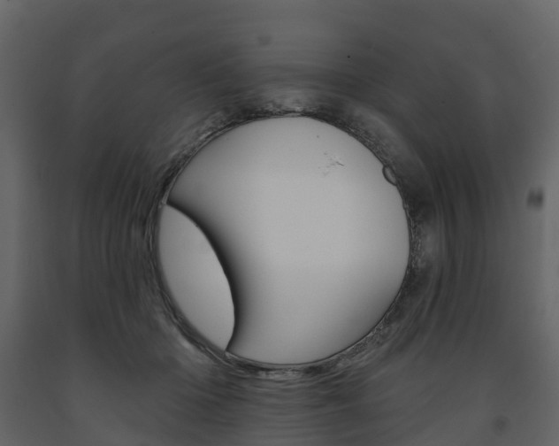 X0000091690414200708231135