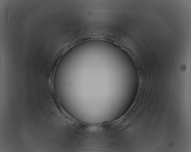 X0000091690415200708231135