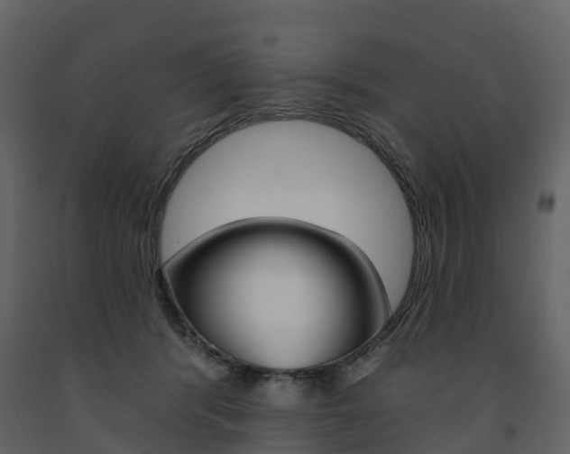 X0000091690416200708231135