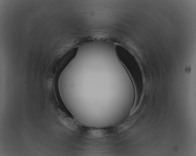 X0000091690417200708231135