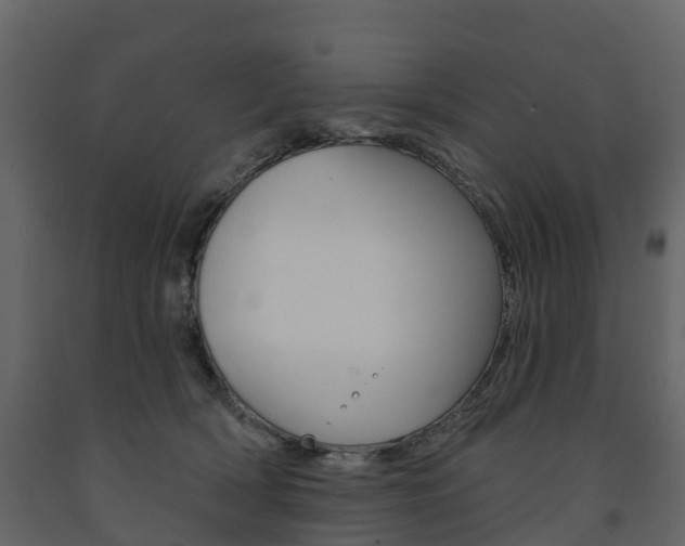 X0000091690418200708231135