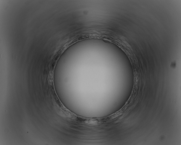 X0000091690419200708231135