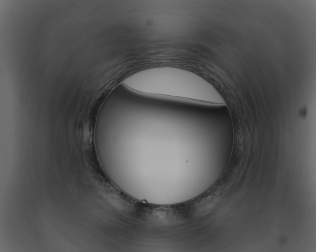 X0000091690420200708231135