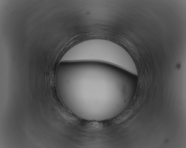 X0000091690421200708231135