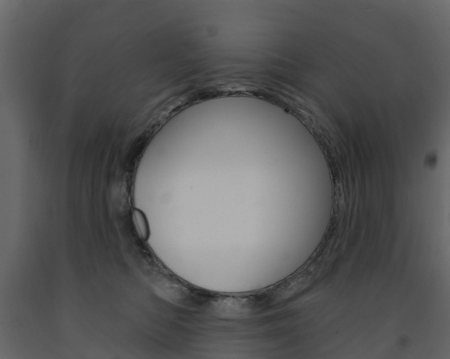 X0000091690422200708231135