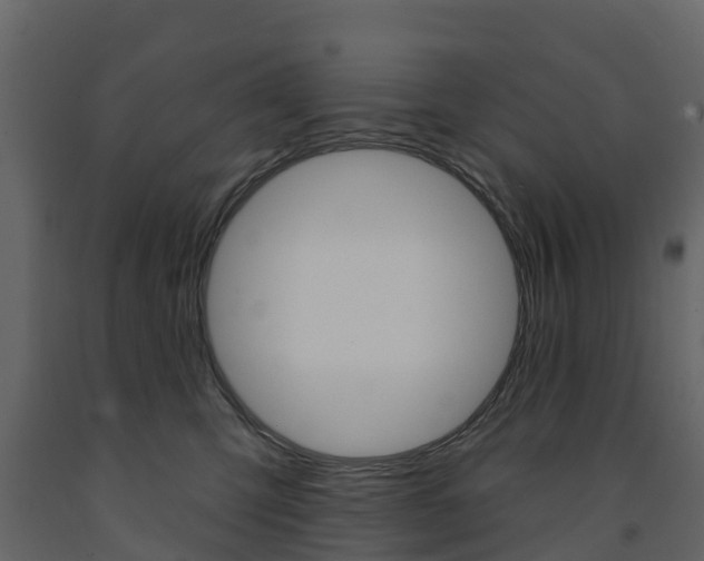 X0000091690423200708231135