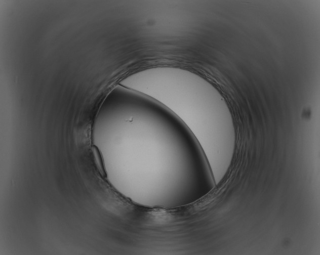 X0000091690425200708231135