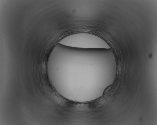X0000091690426200708231134