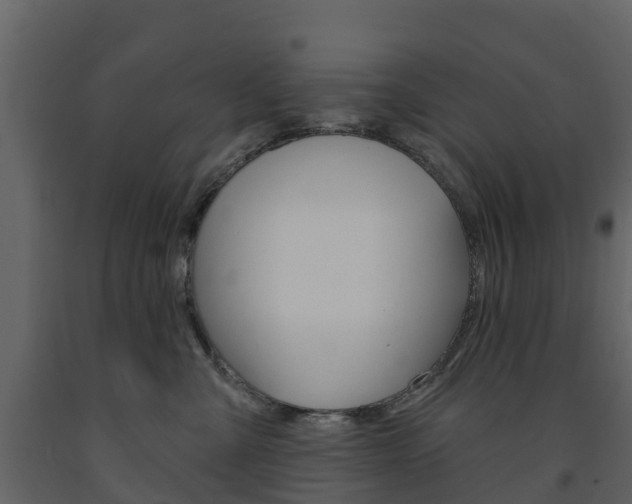 X0000091690427200708231134