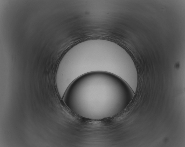 X0000091690428200708231134