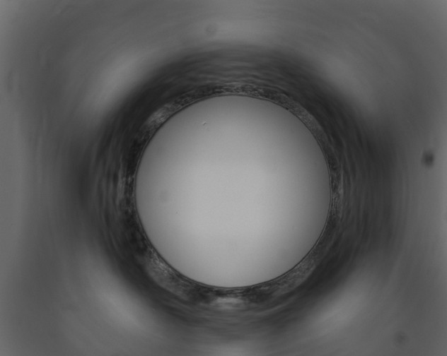 X0000091690430200708231134