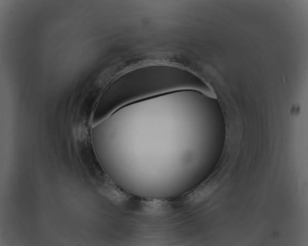 X0000091690432200708231134