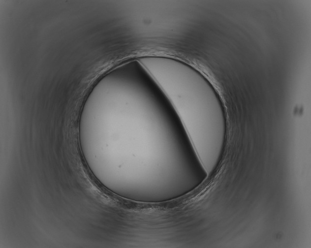 X0000091690433200708231134