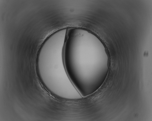 X0000091690434200708231134