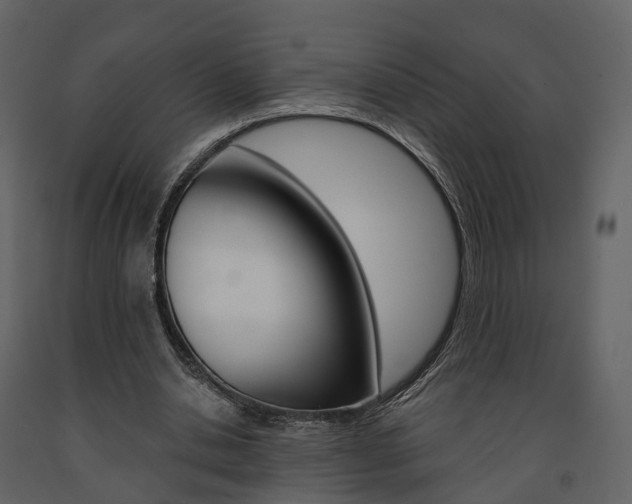X0000091690438200708231134