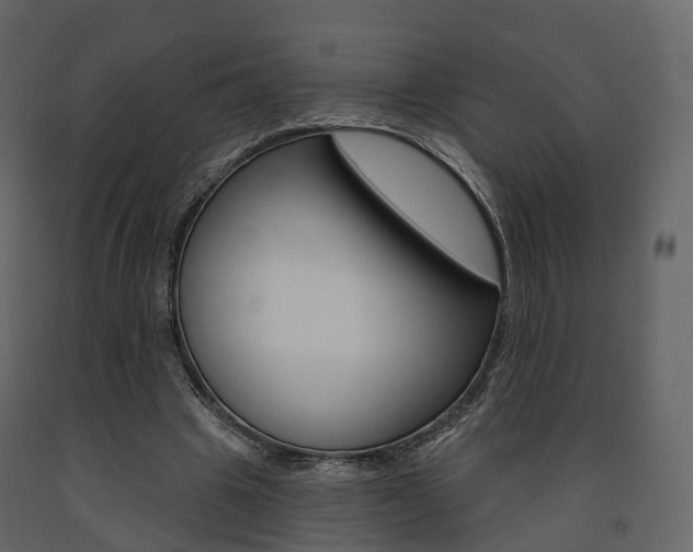 X0000091690441200708231134