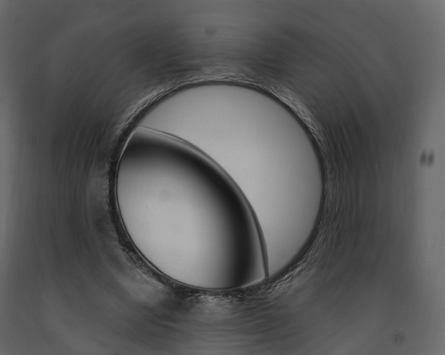 X0000091690442200708231134