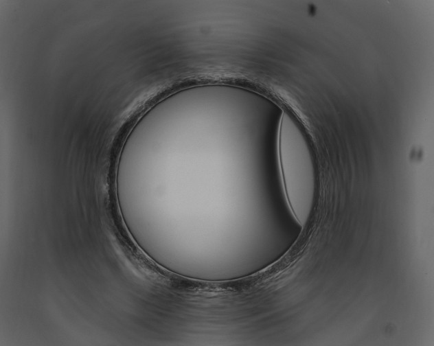 X0000091690443200708231134