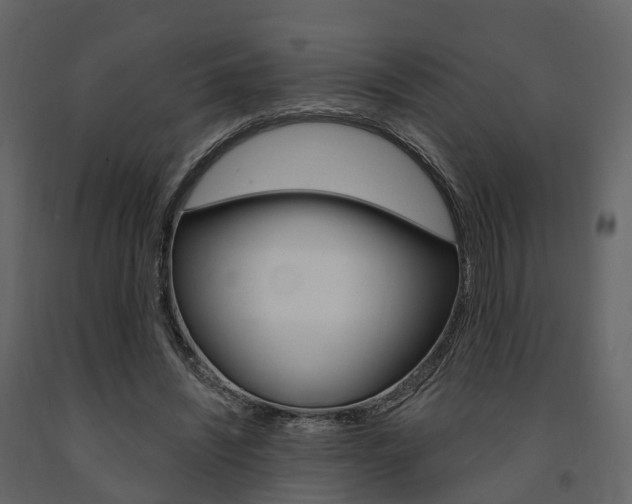 X0000091690444200708231134